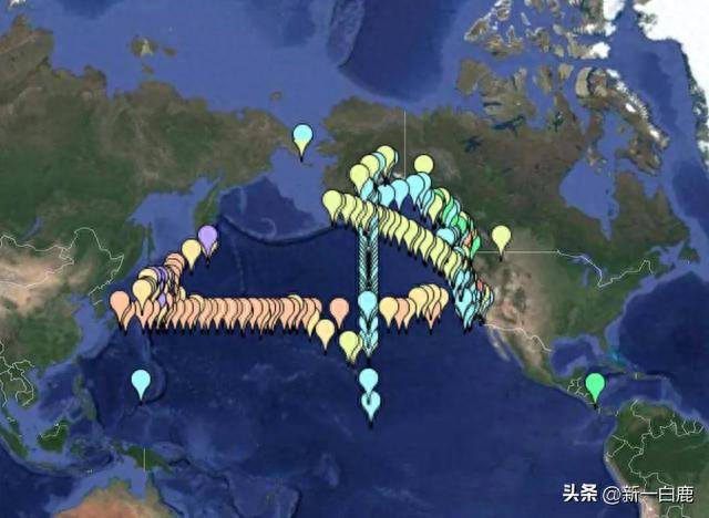 全部达标！日本宣布核污水排海第一波检测数据，获国际原子能认可
