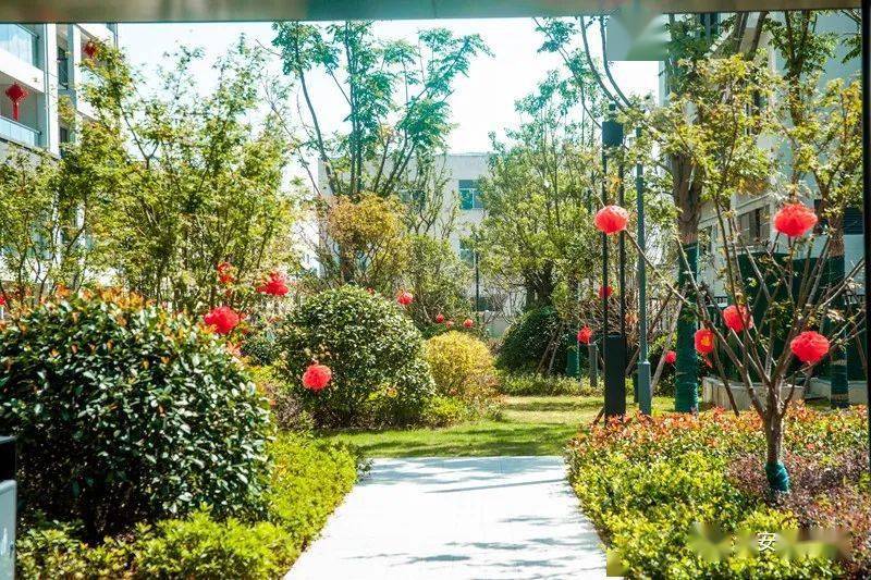 层次变化,巧妙将大乔,小乔,灌木,时令花卉,草坪等绿化景观布置恰到