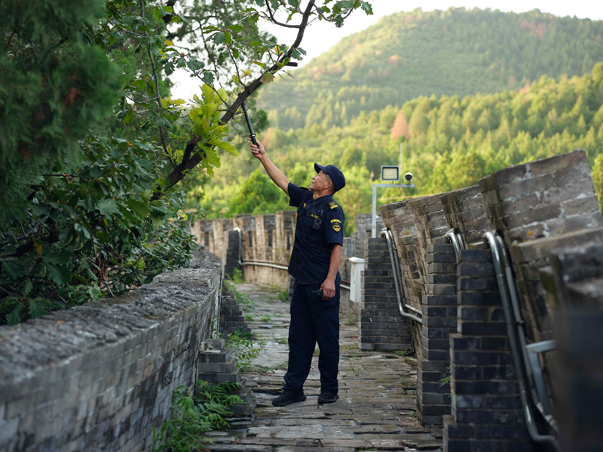 北京文化守护人丨李德宏:茂陵村里的"守陵人"_工作_陵园_十三陵