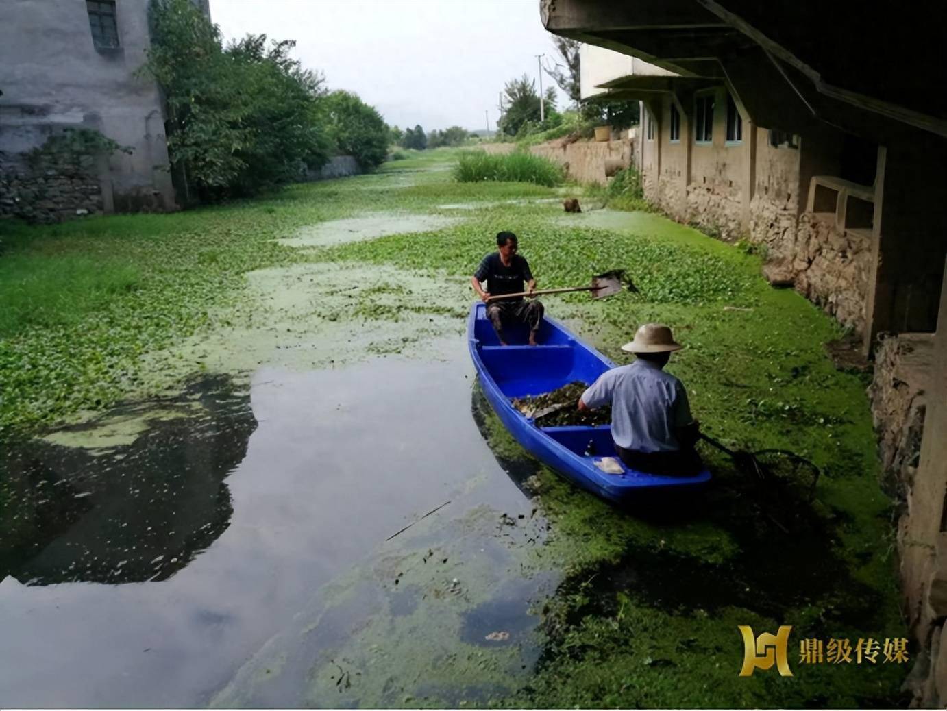 鼎城双桥坪镇:"小浮船"助力人居环境"大提升"_打捞_水面_辖区