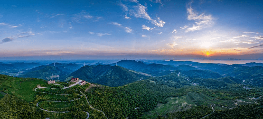 云水湾公园半岛花