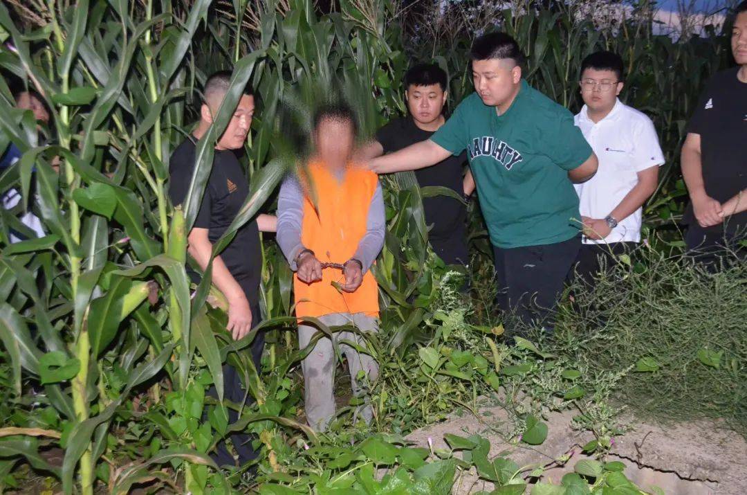 朝阳公安破获一起命案积案_朱某_北票市_刑侦