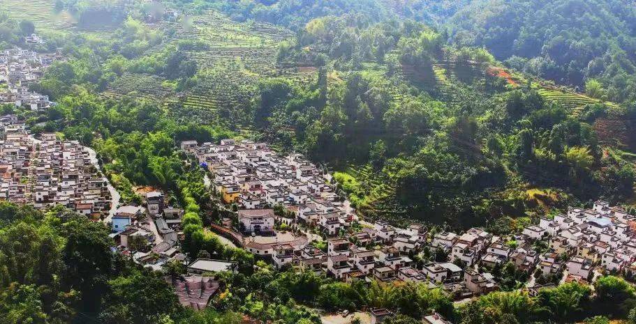 《云南日报》点赞临沧云县安乐村——村美民富真安乐_发展_乡村_建设