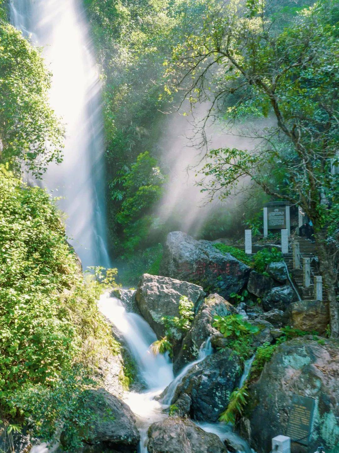 雨后有序开放!来西樵山打卡治愈系美景_景区_石刻_旅游车