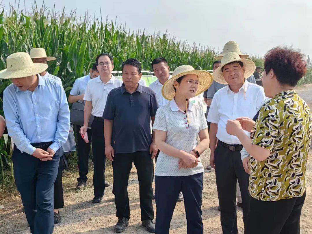 2023年9月8日,陕西省农业农村厅孙矿玲厅长在乾县段志华县长,农业农村