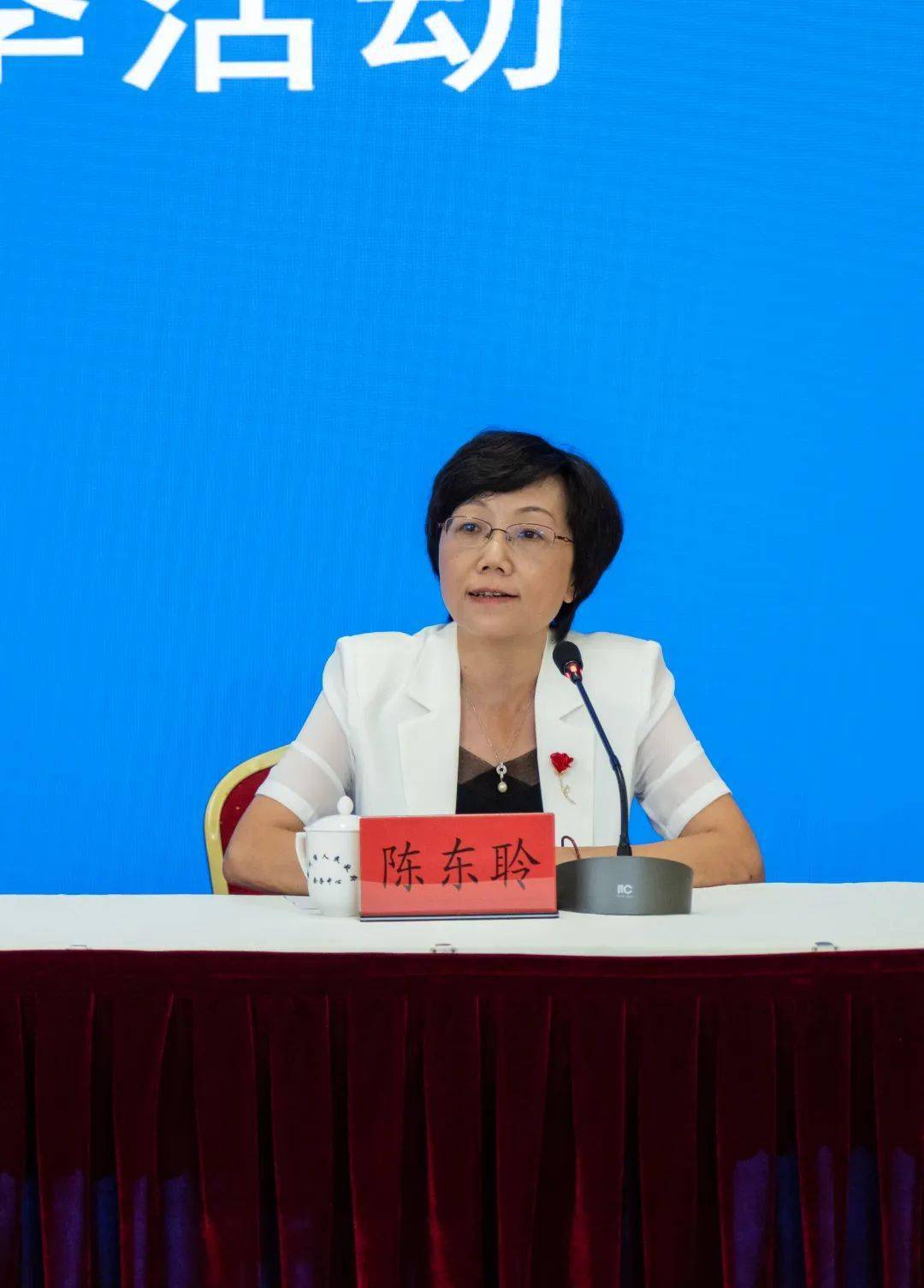 泉州文旅集团党委副书记,副董事长,总经理陈东聆现场