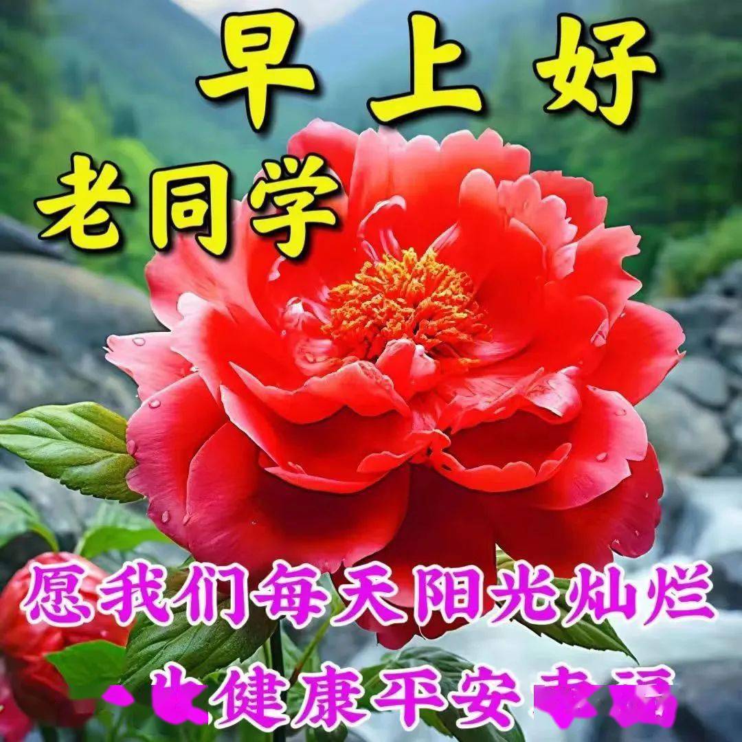 好姐妹早上好图片带字图片