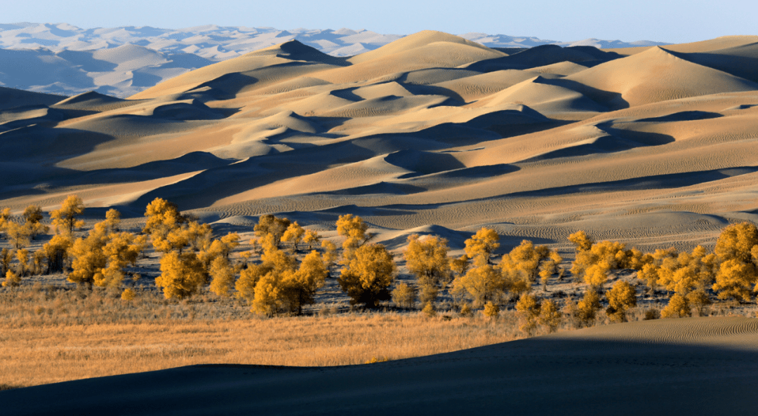 多彩中国 | 满目金风秋气爽,谁将万物换新裳_色彩_画卷_沙漠