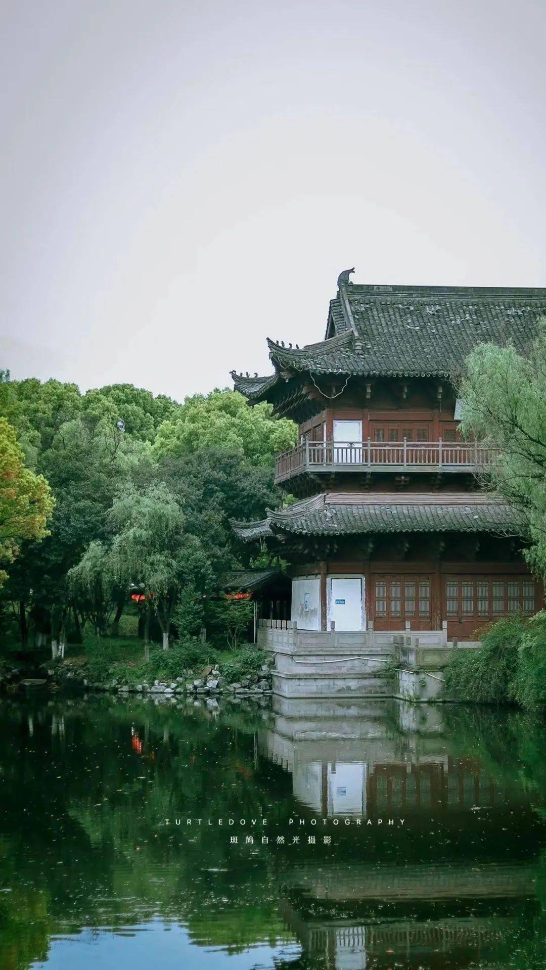 【图说·绍兴】绍兴西园掠影_摄影_斑鸠