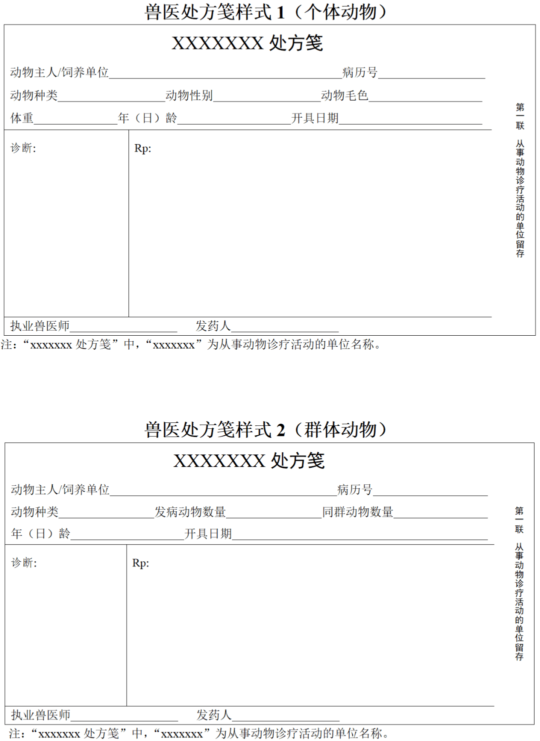 兽医处方笺模板图片图片