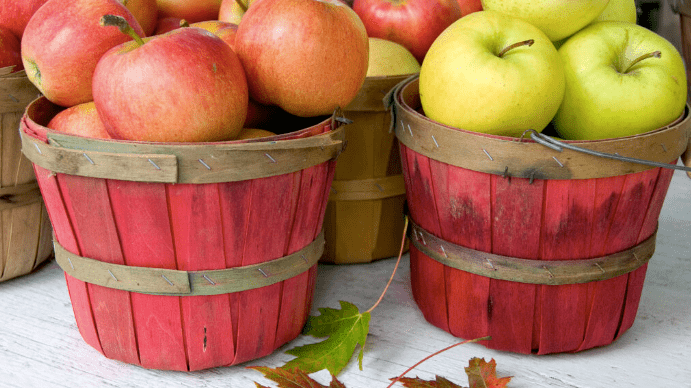 michigan apple harvest going strong_is_crop_tad