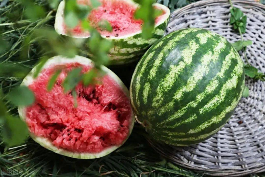 经过评比,这4个地方比较有名,有你家乡吗_种植_东台_土壤