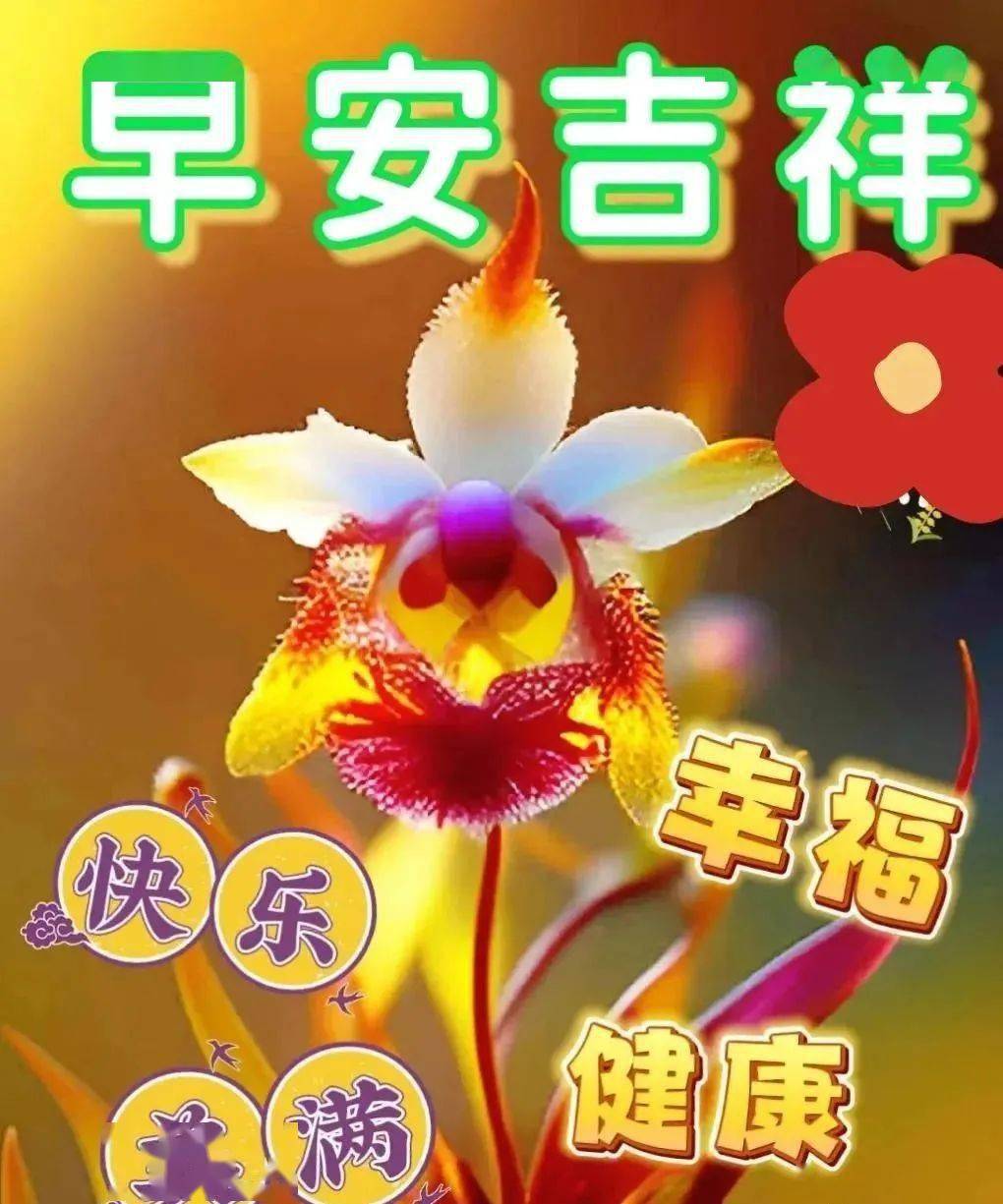 今日最新早上好图片大全,幸福安康,清晨愉快!