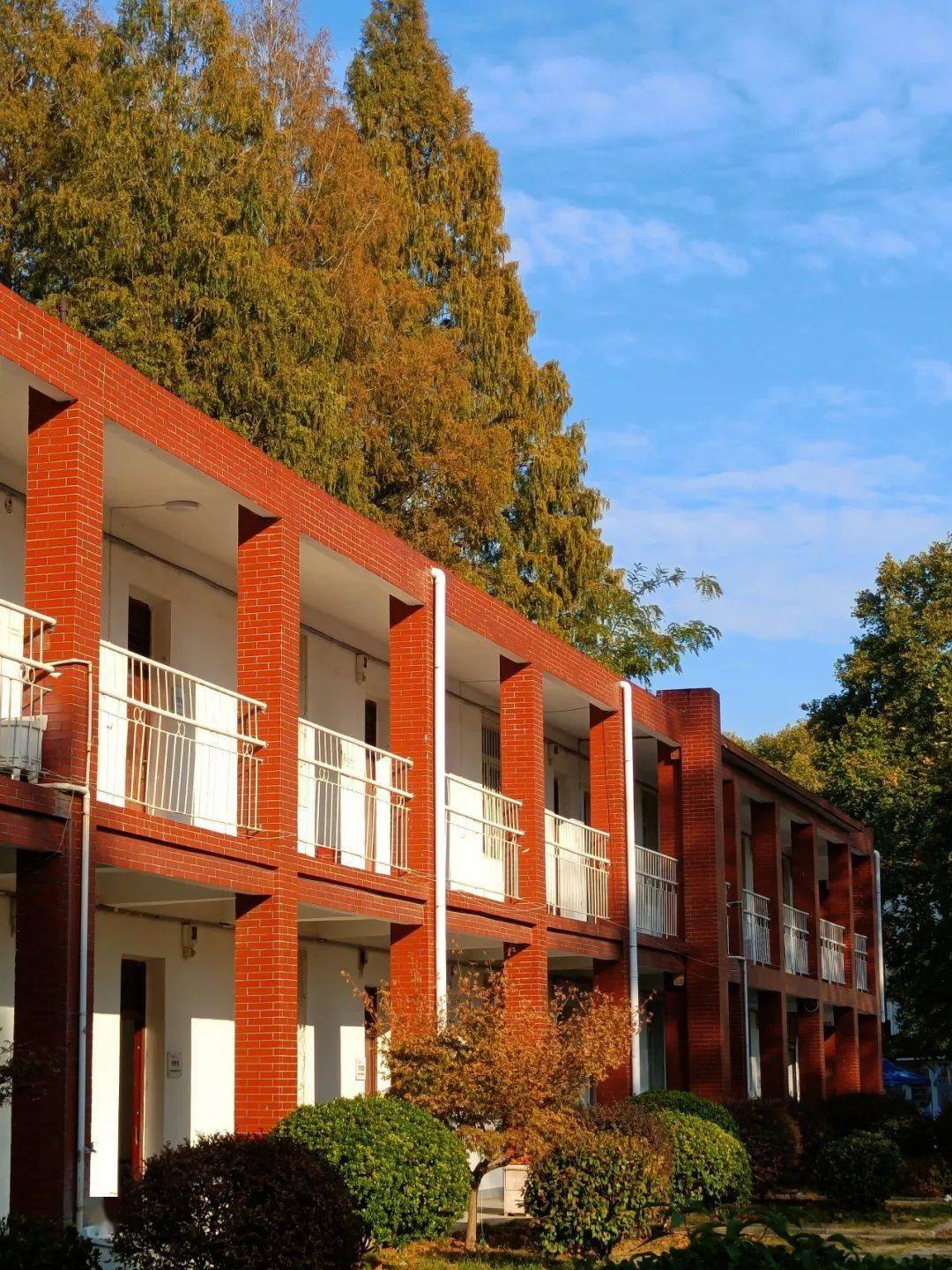 开启湖工大生活!_军训_校园_照片