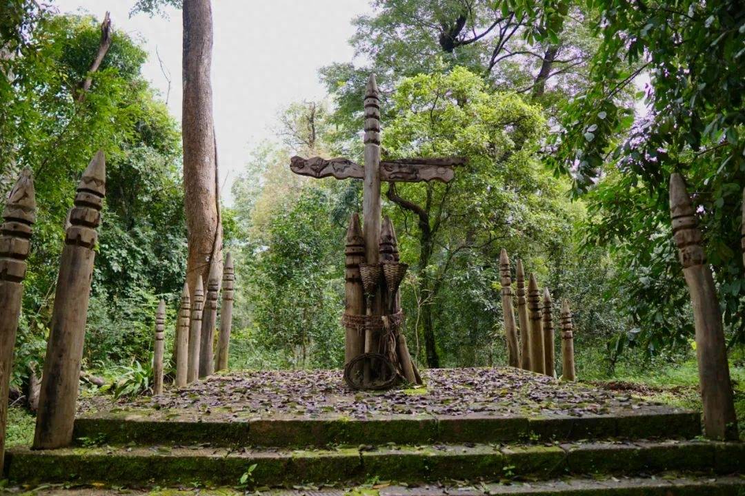 中国最神秘古茶林申遗成功_景迈山_南康_信仰