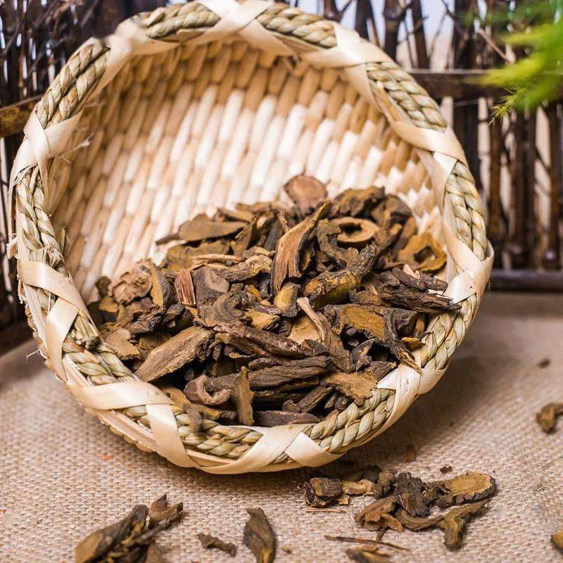 一味中药,羊蹄!_作用_黄色_指导