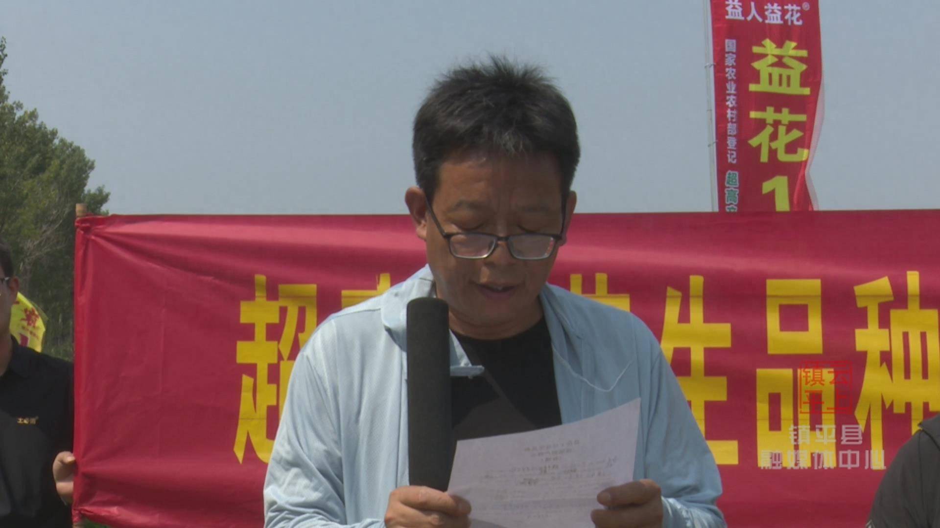 6斤!镇平县优质花生品种亩产创历史新高_种植_益花_产量