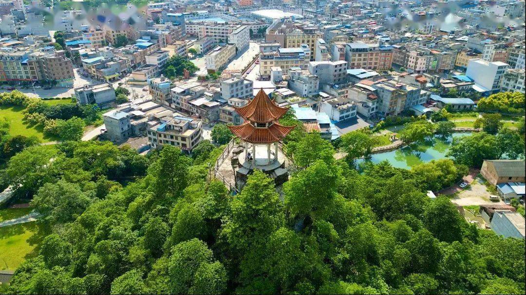 真的!这里有一场很"牛"的文化盛宴_天等县_活动_时间