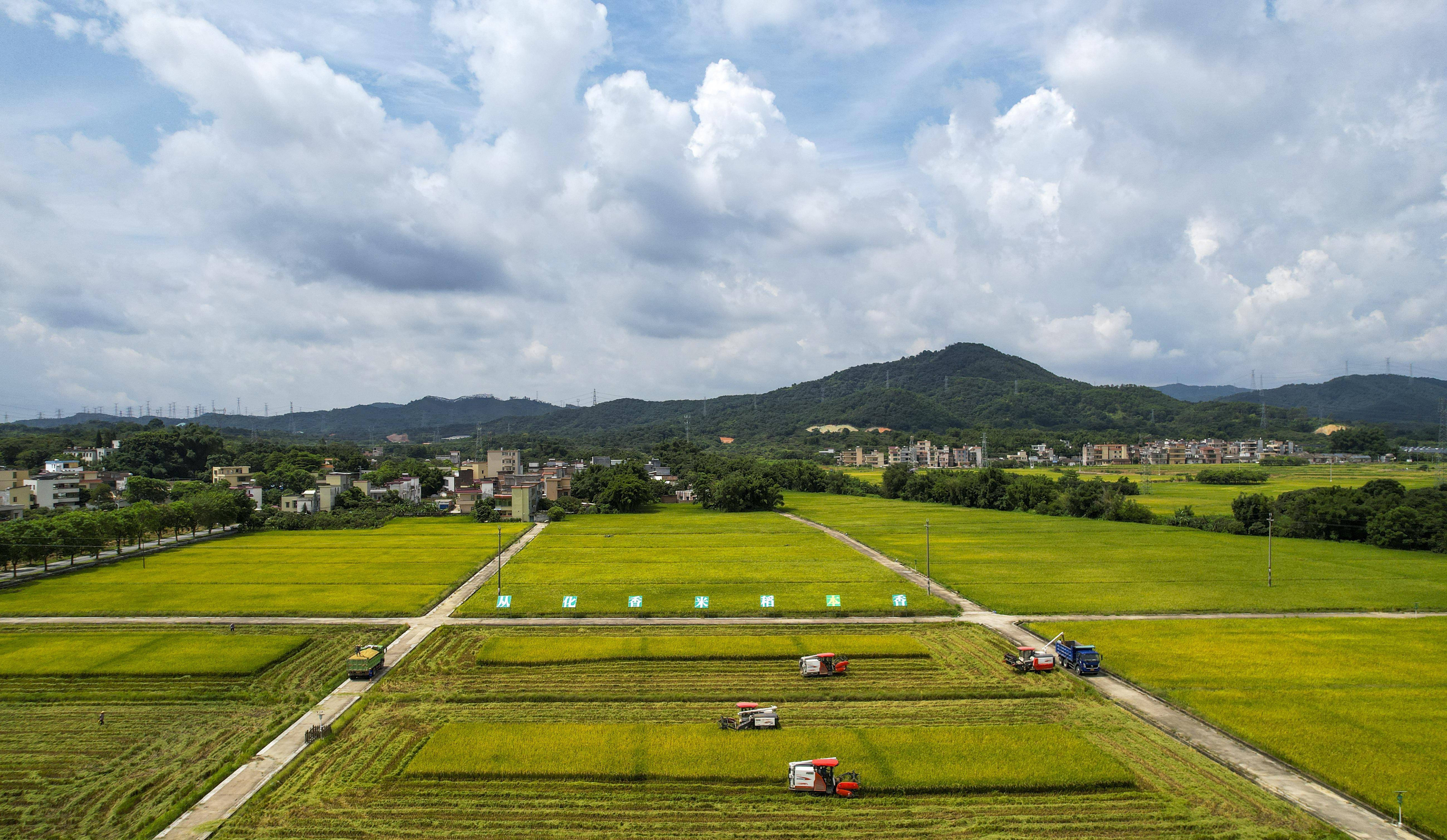 广州从化麦田生态园图片
