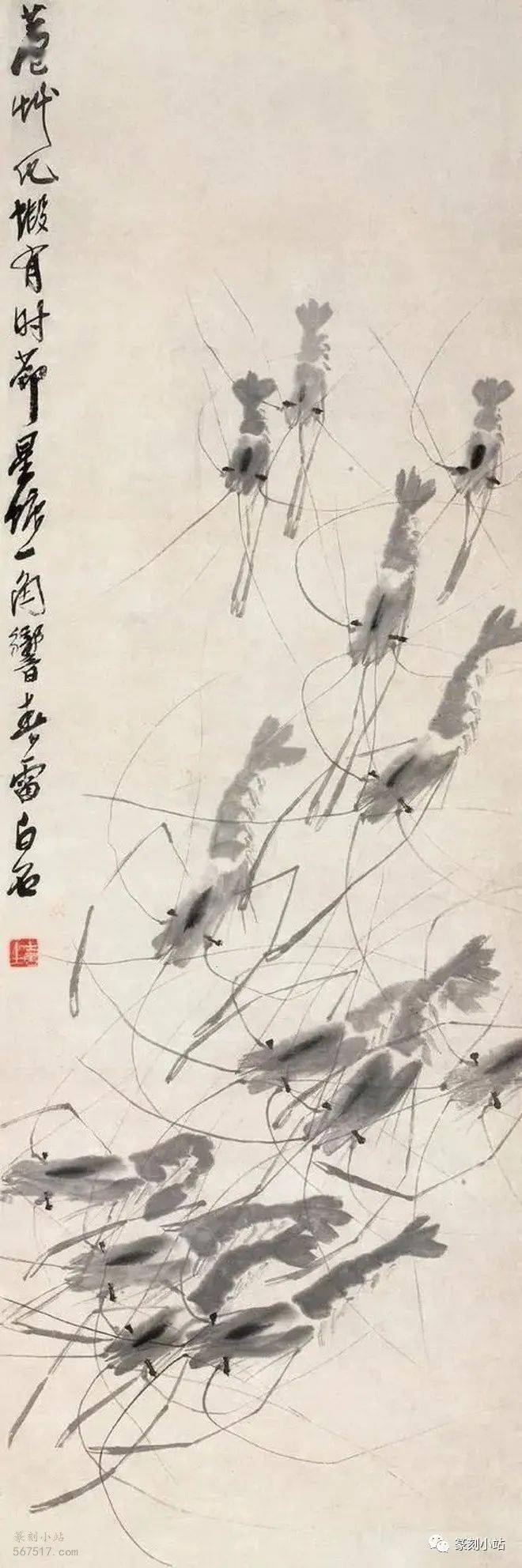 蝦圖 白石
