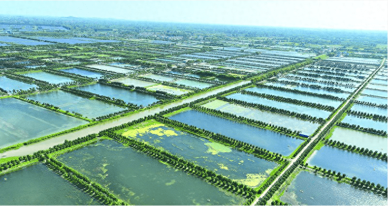 大通湖地理位置图片