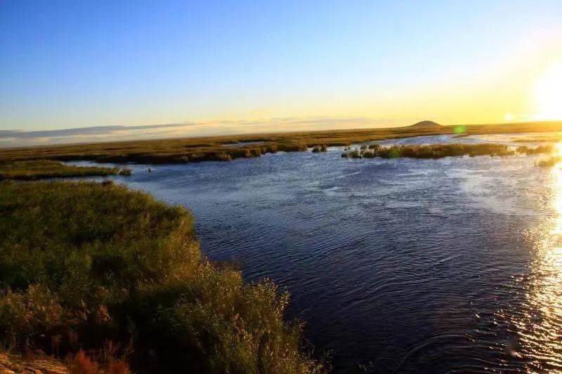 【诗词欣赏】《辉河湿地赋》感受呼伦贝尔辉河湿地之美_苇丛_草地