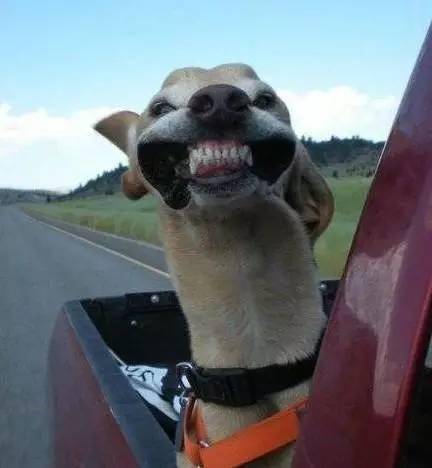 1,哈喽,我在这里哦