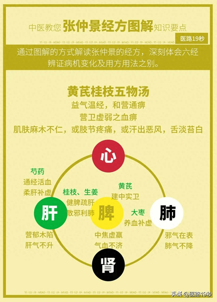 中医教您张仲景经方图解知识要点!