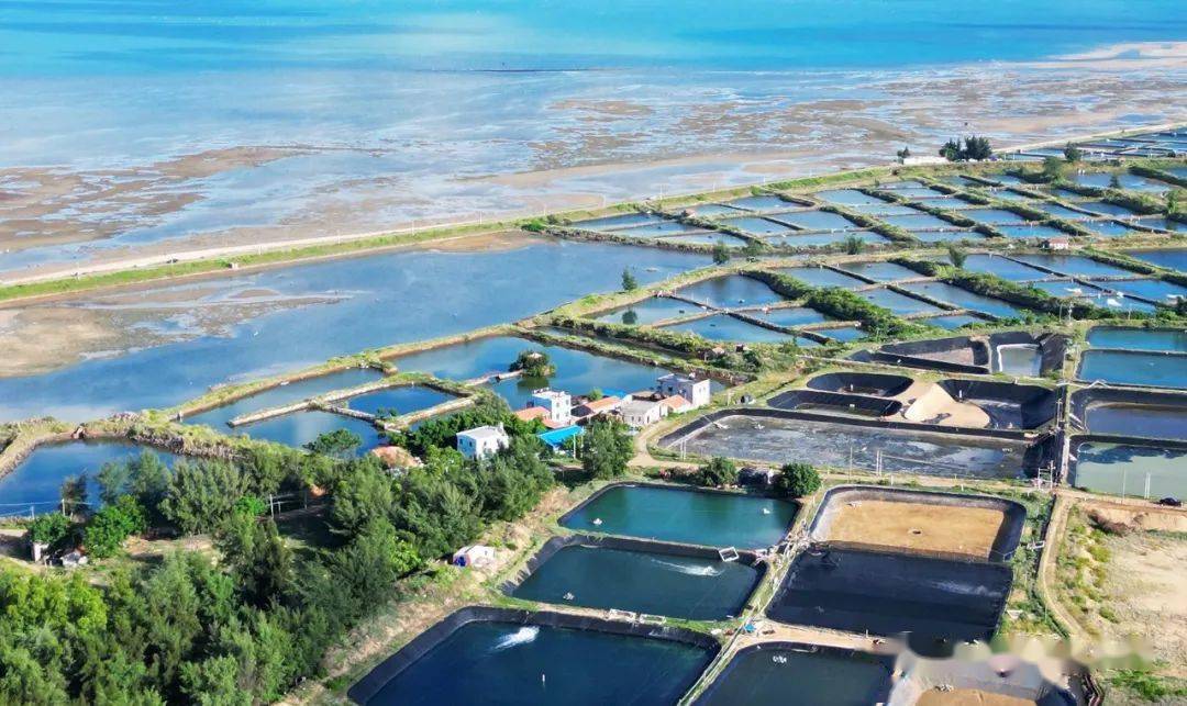 记录你心中的美 | 最美广东现代化海洋牧场摄影和短视频作品征稿启事