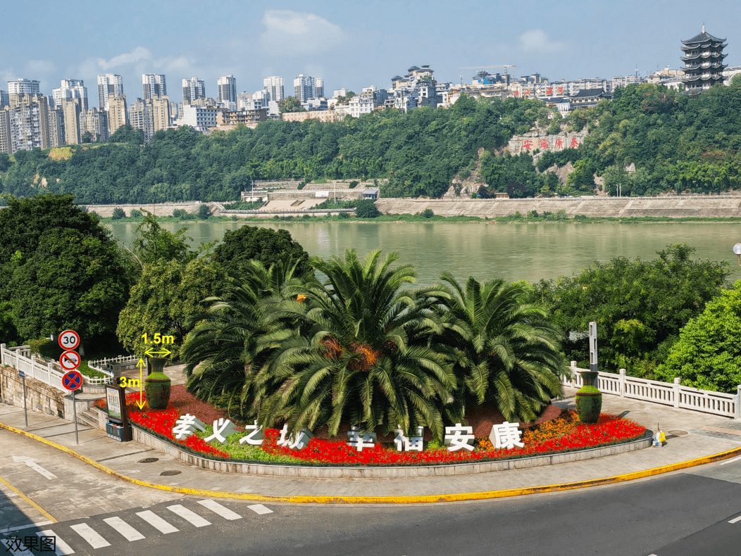 鲜花满街头,金州等你来……_安康_花卉_造型