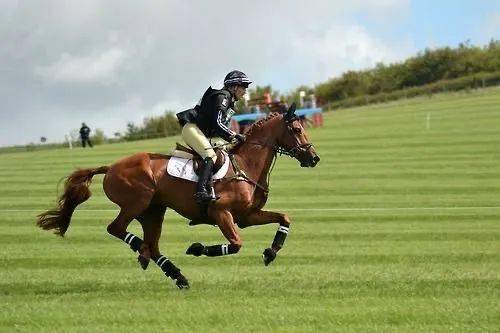 社团招新丨清华大学学生马术协会秋季招新_活动_运动_教练