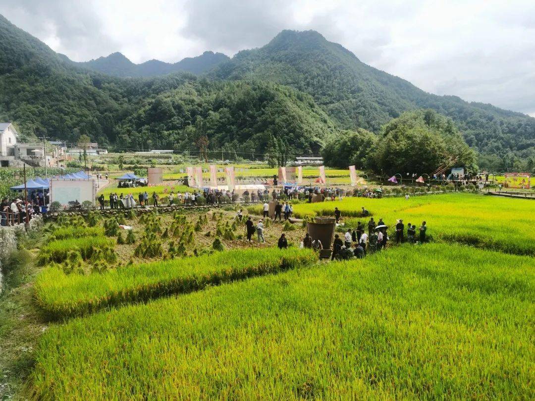 促和美" -- 略阳县举办第六届"中国农民丰收节"启动仪式_两河口镇