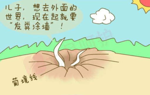 孩子"菊部地区"瘙痒,可能是感染了这个……_蛲虫_儿童_肛门