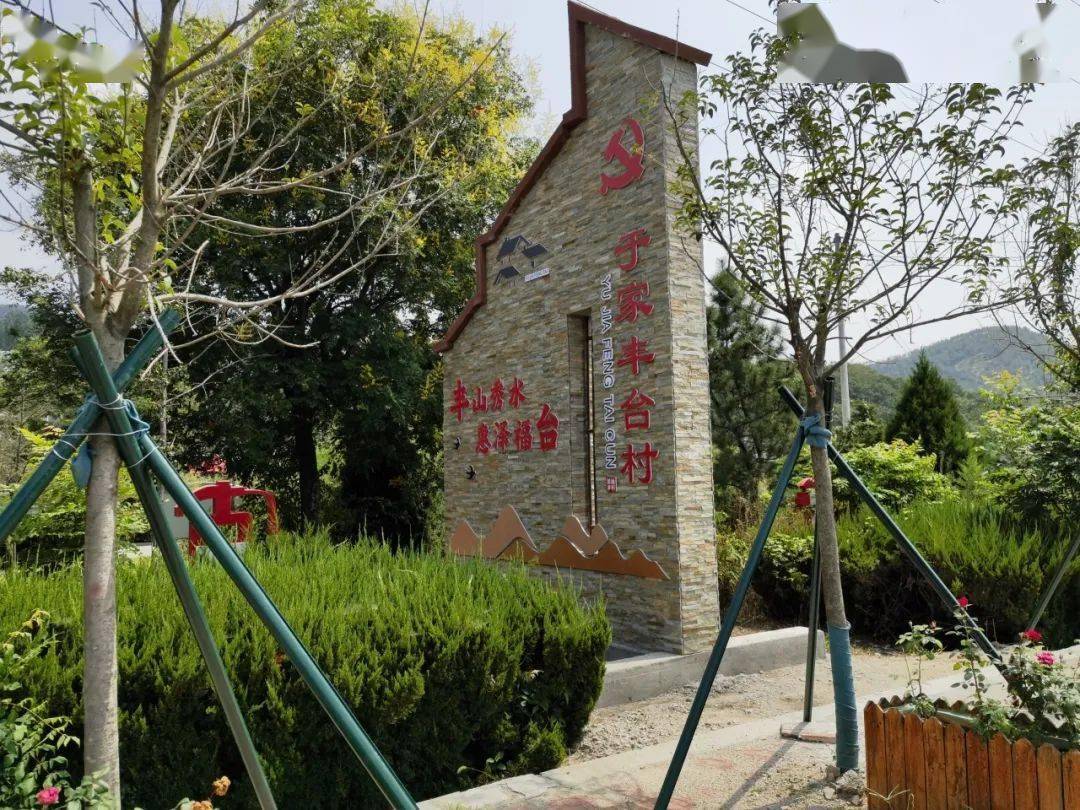 文明共建 | 日照市五莲县街头镇:居住环境增"颜值" 幸福生活再提质_美