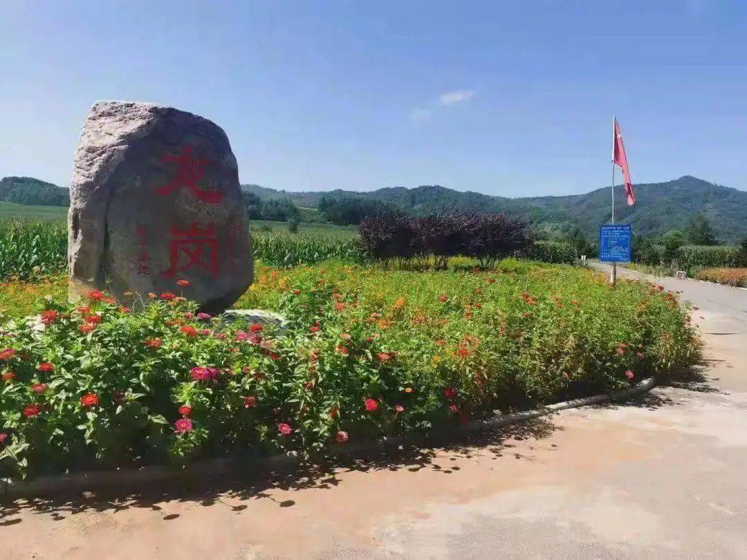 通化县快大茂镇:产业振兴西瓜甜 增收致富有保障_发展_龙岗村_集体