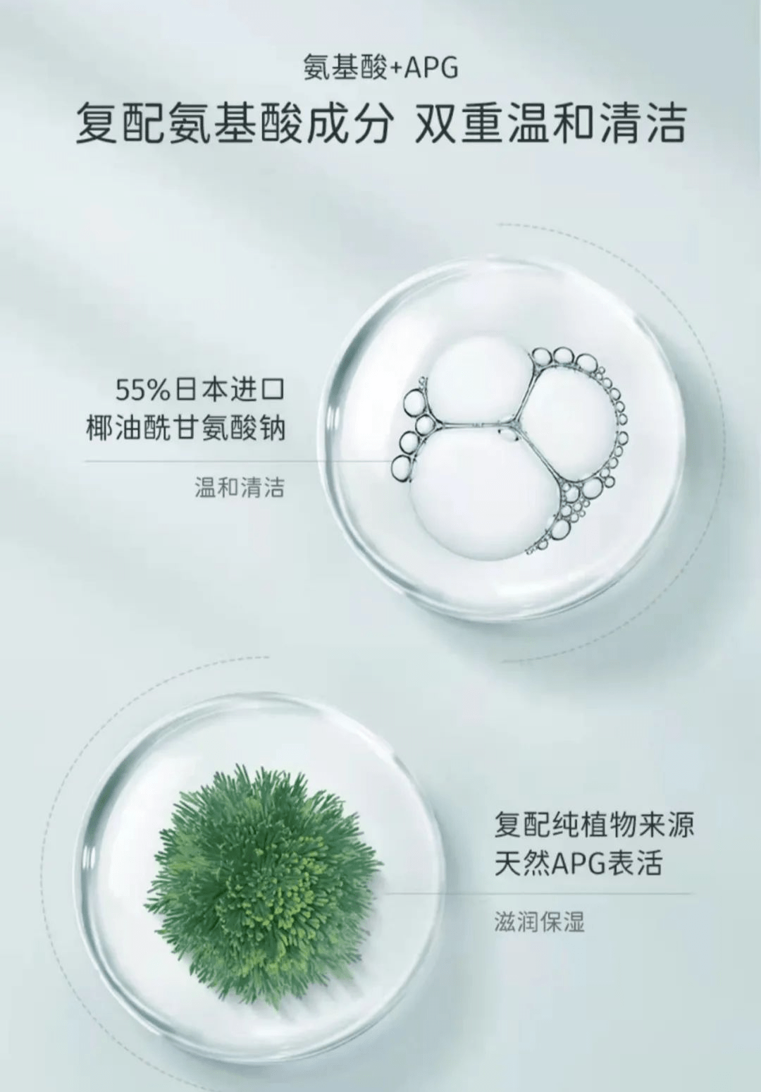 更添加珍贵的复活草成分,复活草学名巴尔干苣苔,产于欧洲巴尔干半岛