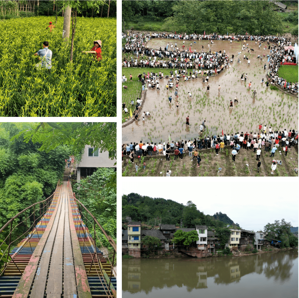 乐山这7个古镇,太适合秋天闲逛了!_建筑群_犍为县_清溪镇