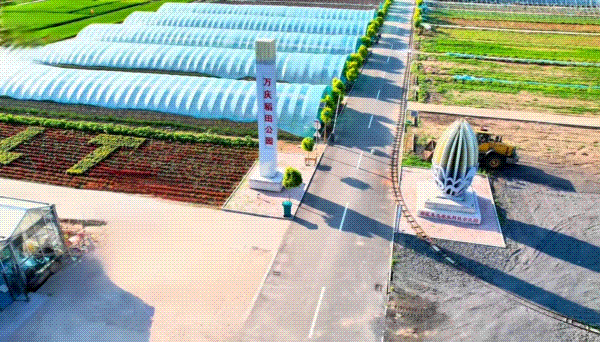 02观田轻奢营地郊区江北万庆稻田公园内——佳木斯观田轻奢营地占地