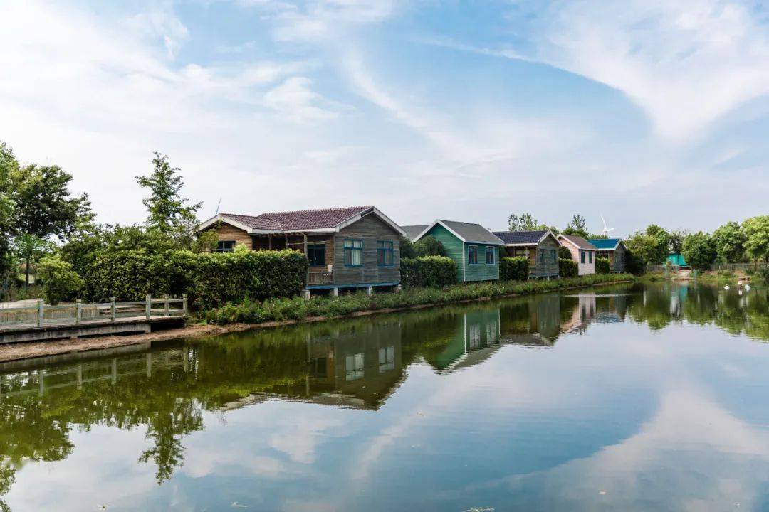 金秋时节蟹飘香 美丽菱塘邀您来_高邮_向北_图片