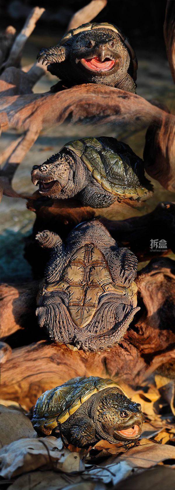 冷墨工作室 佛州拟鳄龟 原色款 原创动物模型gk摆件_公众_微信_网站