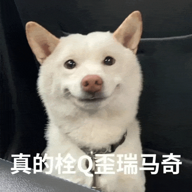 修勾狗狗表情包-千图网