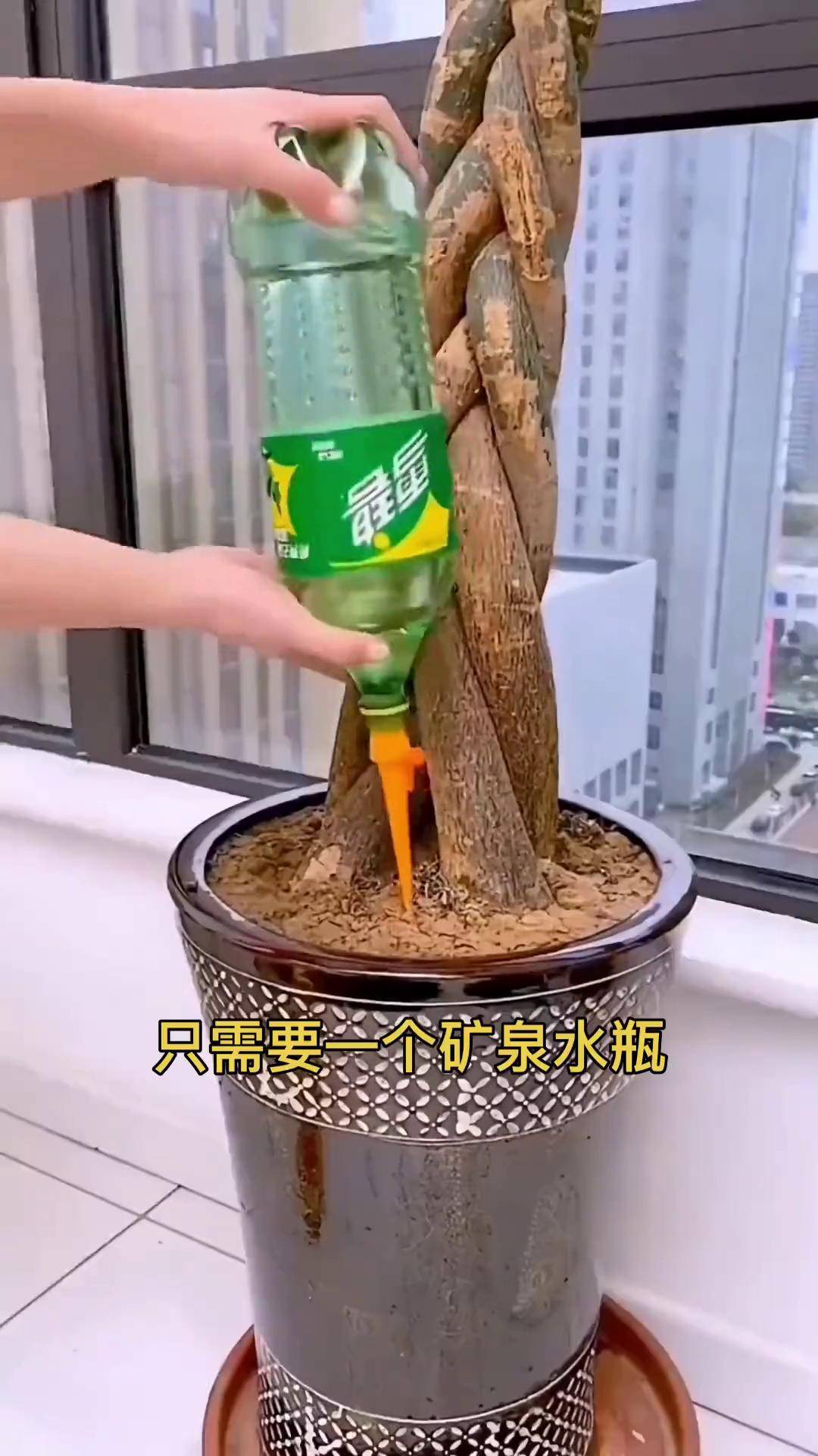 很多人种花种菜老是忘记浇水,用了这款懒人浇水器,10天半个月都不用在