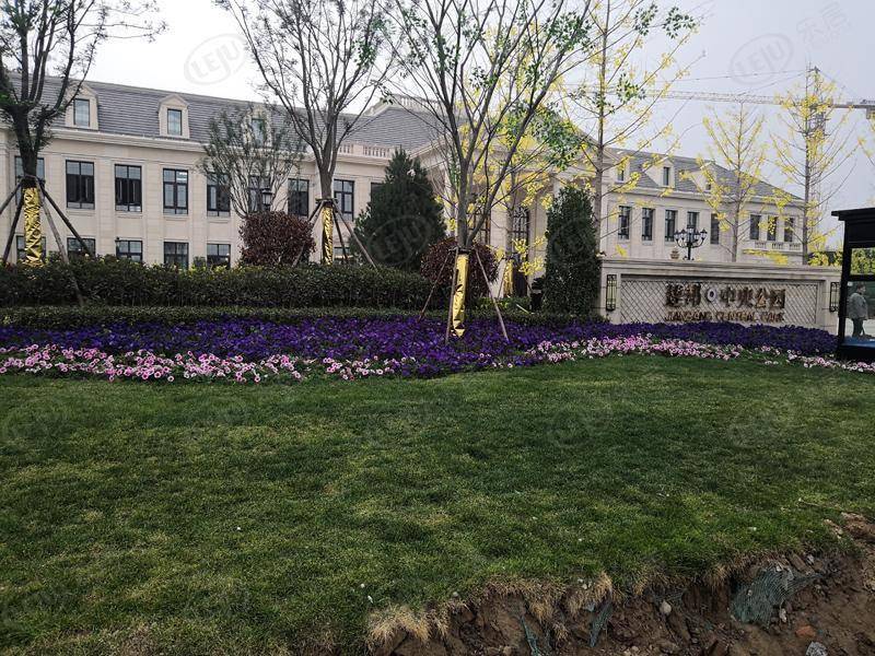 牡丹菏泽·建邦公园 价格来袭 约6100元/㎡