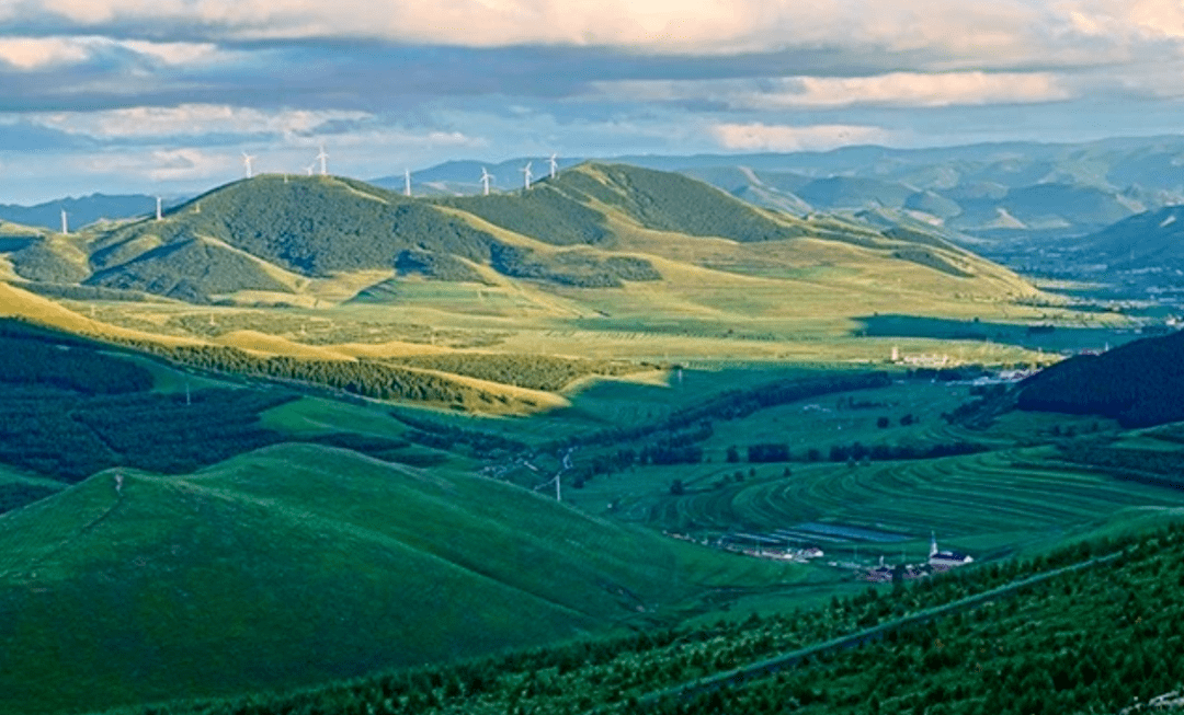 河北张家口|创新造林模式_绿化_建设_工程