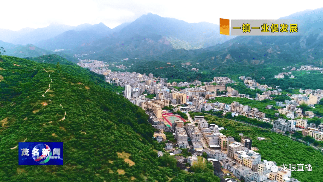 2023年,信宜市钱排镇在做强做精特色产业方面持续发力,三华李迎来增产