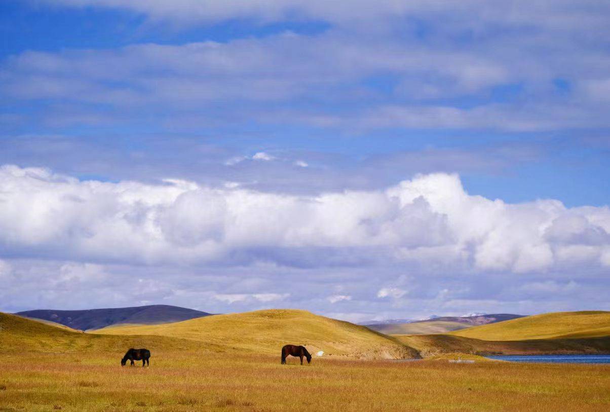 tracing the story of "water tower of china," three-river-source