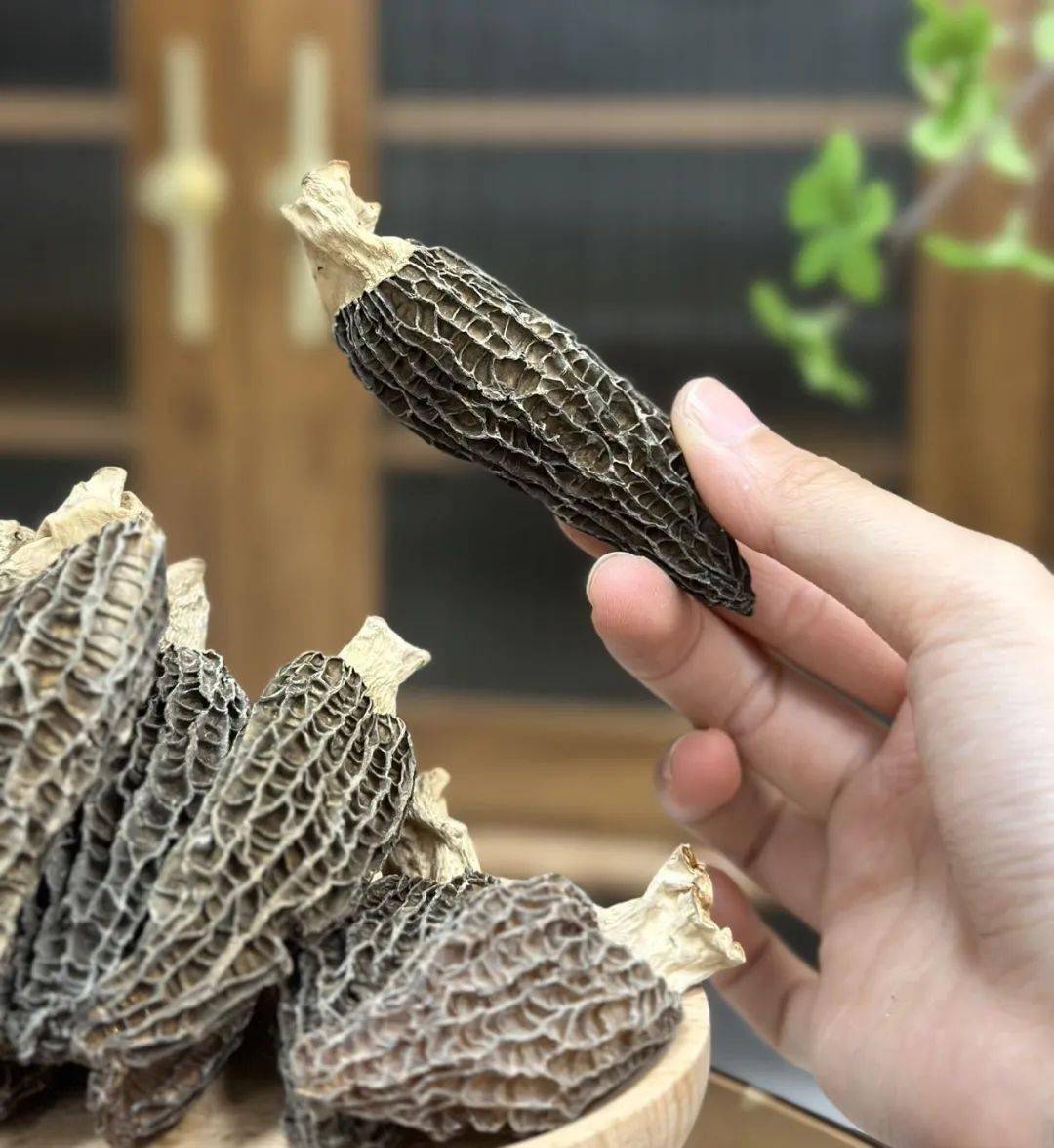 爆卖2万多单的【鲜珥家羊肚菌】复团啦!仅需39.9元秒杀一大袋!