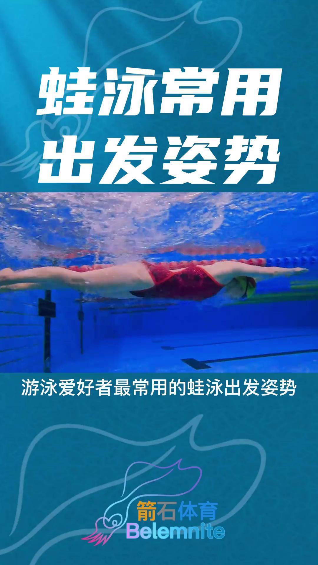 蛙泳常用出发姿势0基础游泳教学 游泳 游泳健身