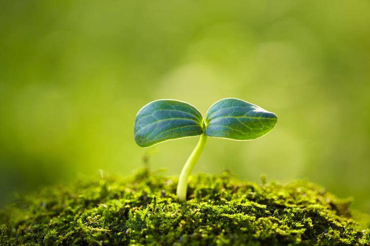 读书丨周昱彤:向"活着"的人致敬——读《人是活的》有感