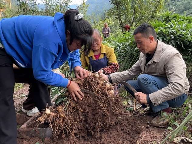 致富经视频下载_致富经视频_视频致富经养殖十年甲鱼野生塘